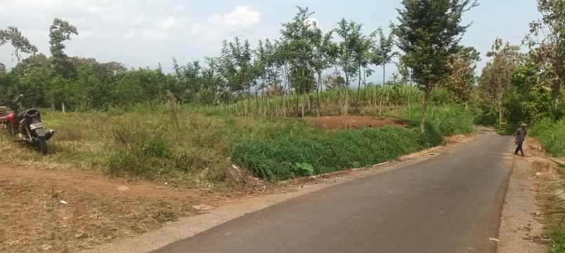 tanah murah shm pinggir jalan