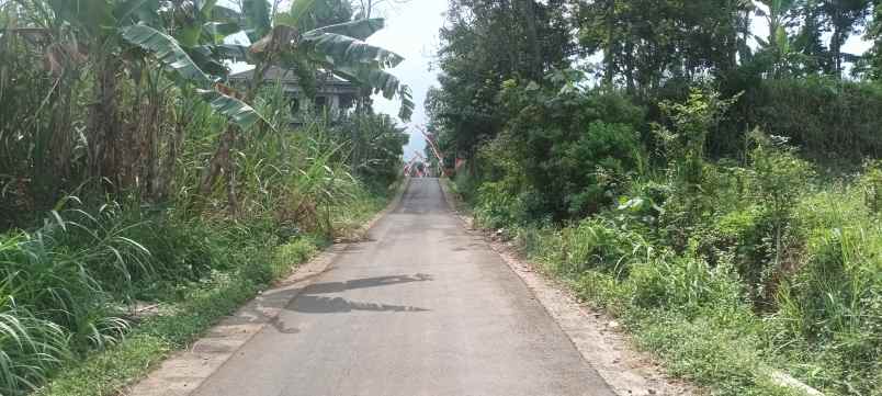 tanah murah shm pinggir jalan