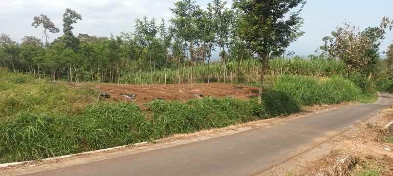 tanah murah shm pinggir jalan