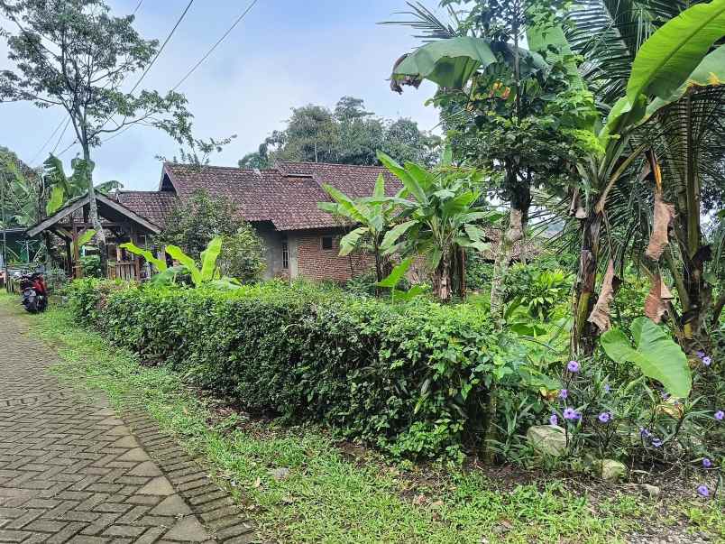 tanah pekarangan desa penganggungan trawas