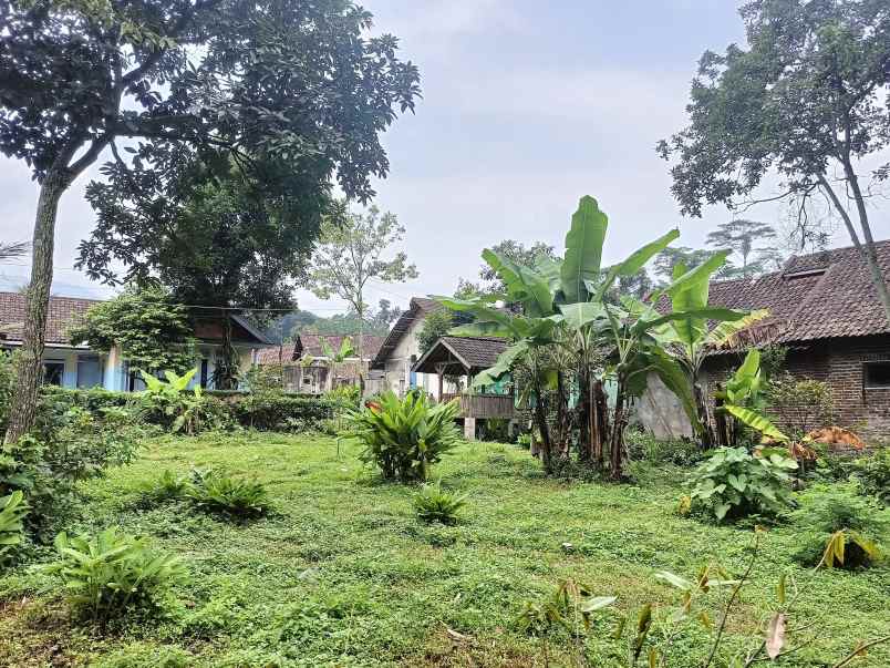 tanah pekarangan desa penganggungan trawas