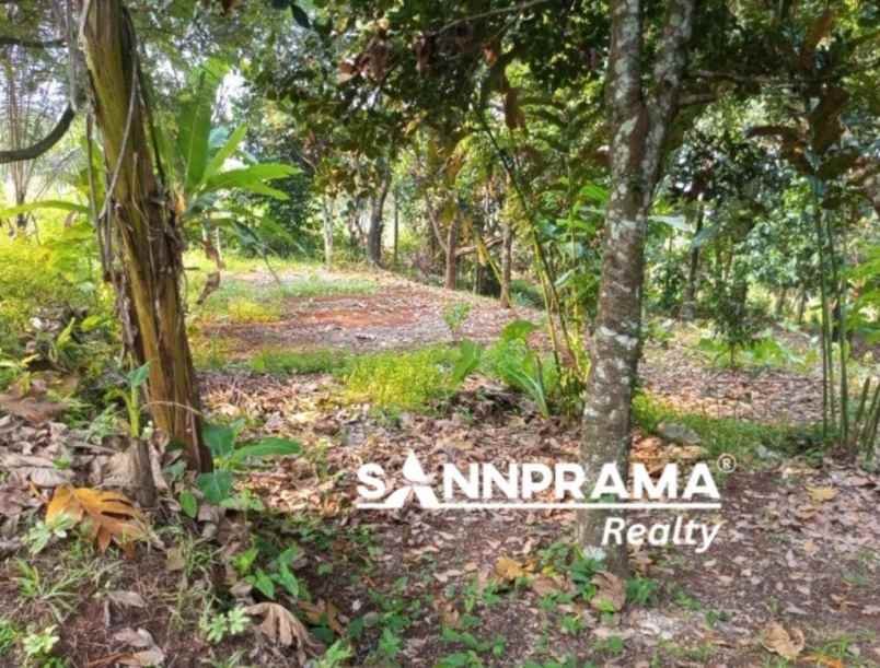 tanah shm kalisureh bogor pinggir jalan indar