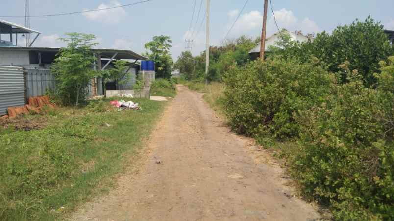 tanah tambak strategis dekat kota indramayu