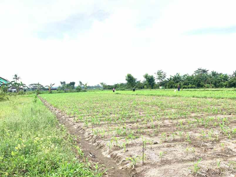 dekat candi prambanan cocok untuk hunian villa