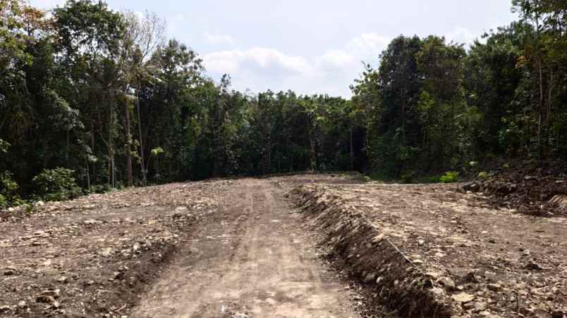 dekat kampus dan rsa ukdw jogja jl wates