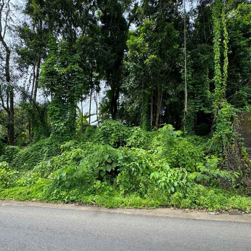 dijual 3 are jl pantai nyanyi beraban kediri tabanan