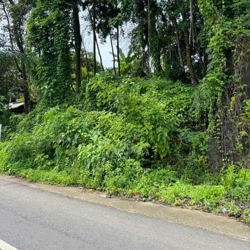 dijual 3 are jl pantai nyanyi beraban kediri tabanan