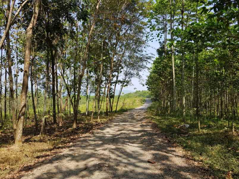 dijual lahan industri di subang