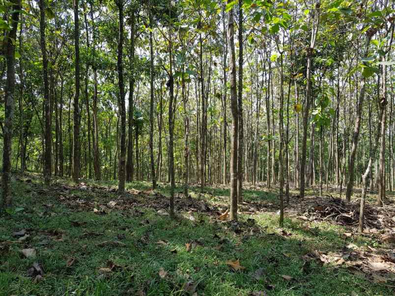 dijual lahan industri di subang