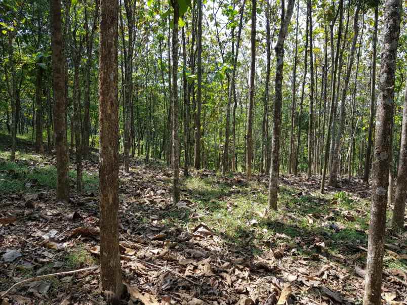 dijual lahan industri di subang