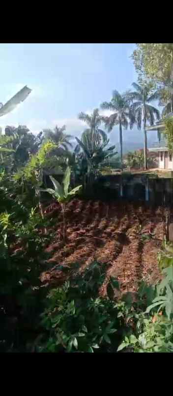 dijual lokasi tanah di gunung geulis