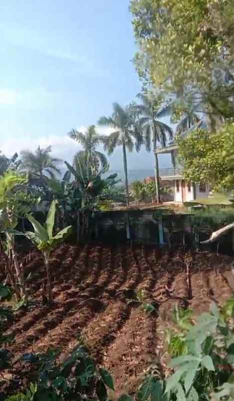 dijual lokasi tanah di gunung geulis