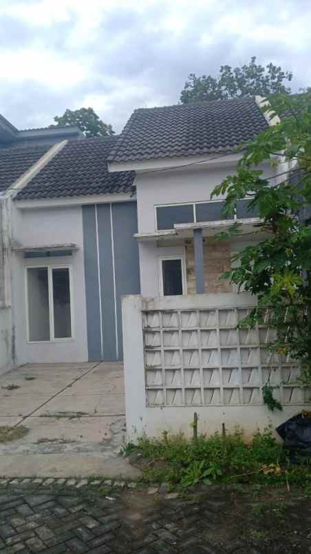 dijual rumah baru ready di cemorokandang