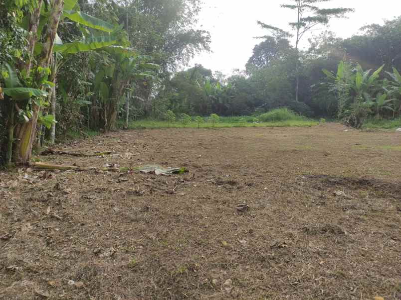 dijual rumah bintaro sukorejo kec