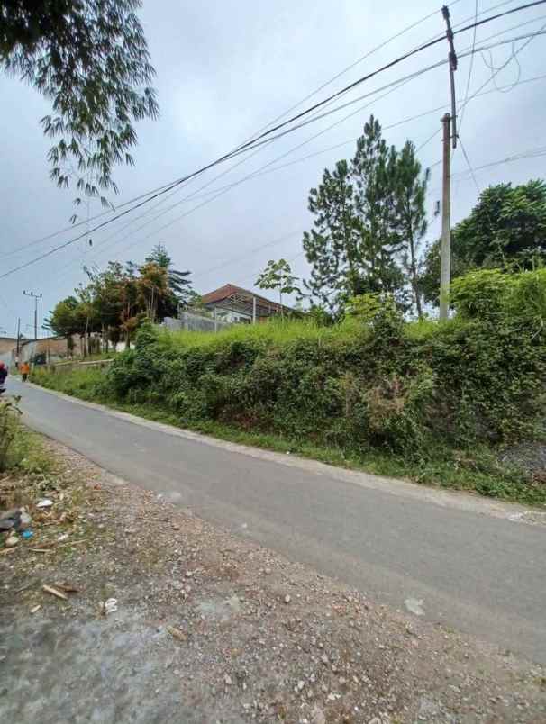 dijual rumah jalan sumbersari tulus besar