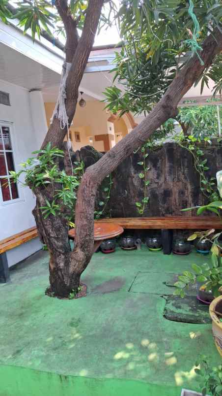 dijual rumah kebon bawang