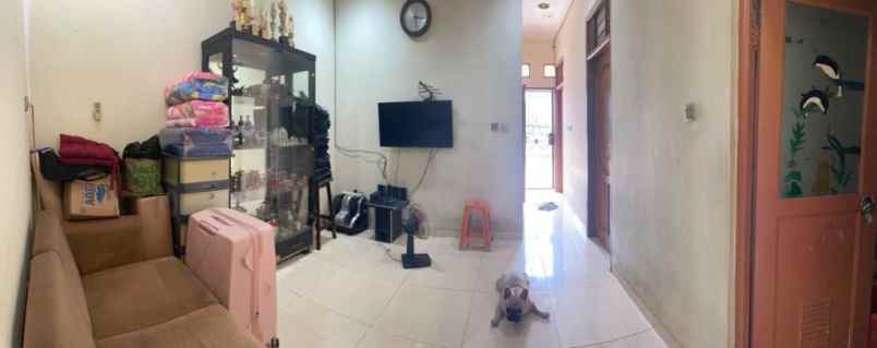 dijual rumah kelapa hibrida kelapa gading