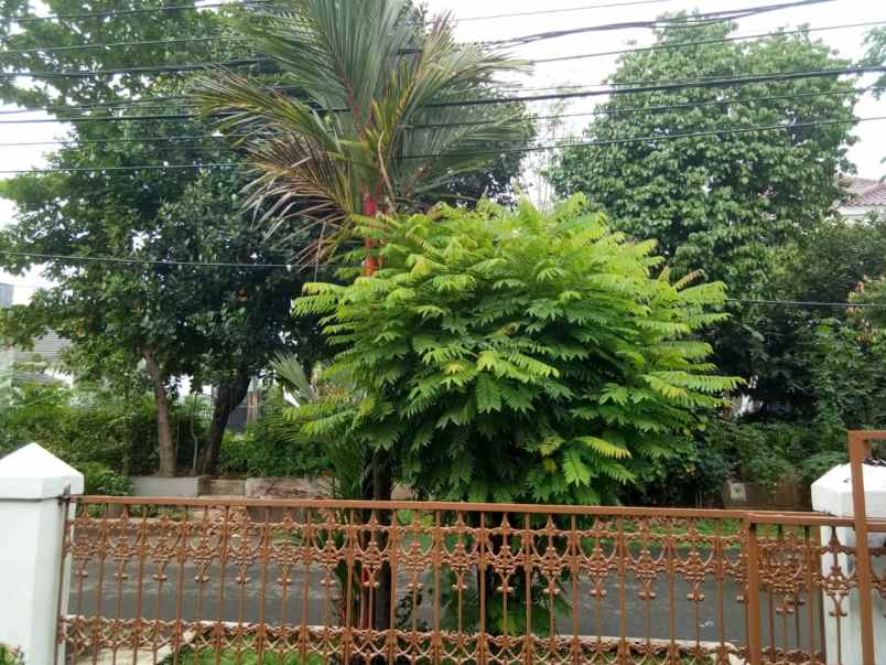 dijual rumah komplek kavling ptb duren