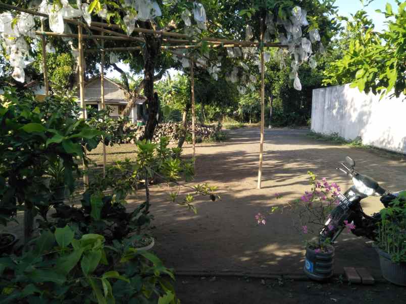 dijual rumah taji prambanan klaten jawa