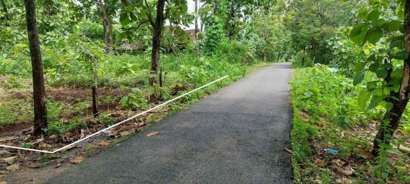dijual tanah 130 m pajangan