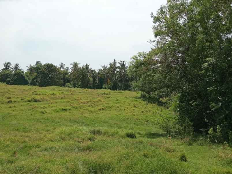 dijual tanah balian beach selemadeg