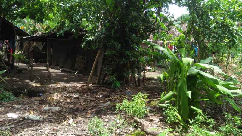 dijual tanah bambanglipuro bantul
