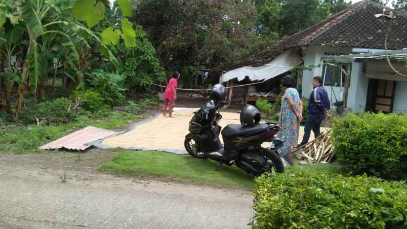 dijual tanah bambanglipuro bantul