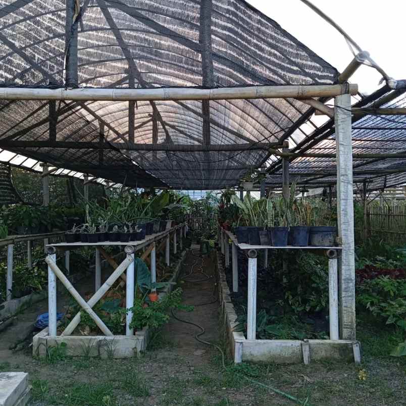 dijual tanah banaran