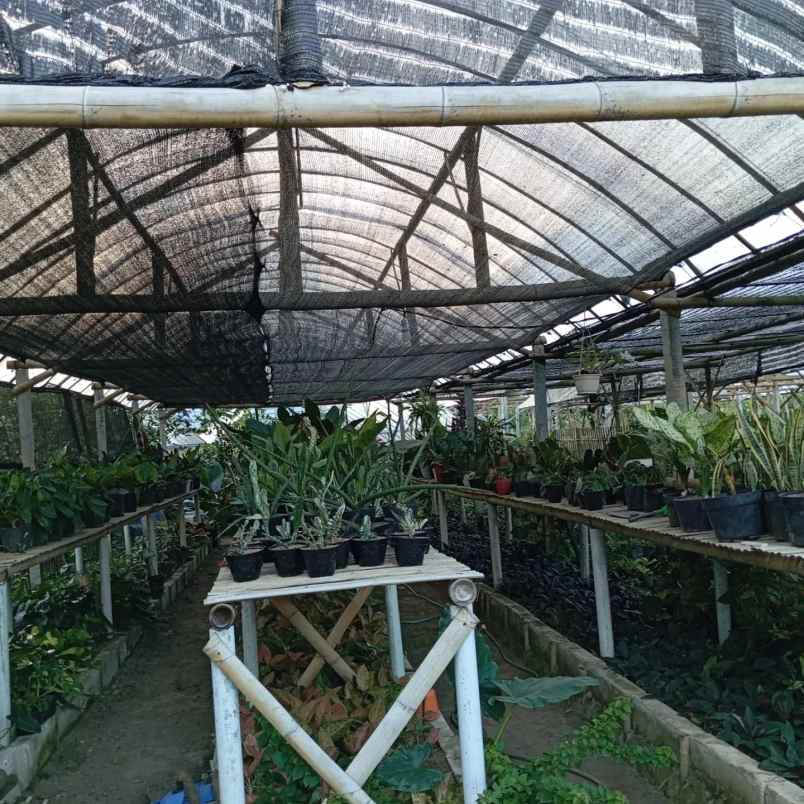 dijual tanah banaran