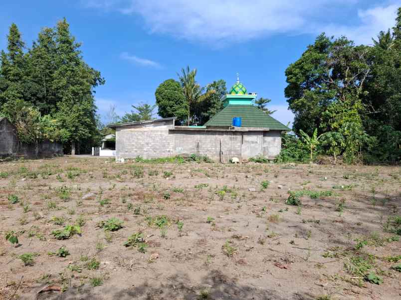 dijual tanah beteng seyegan sleman