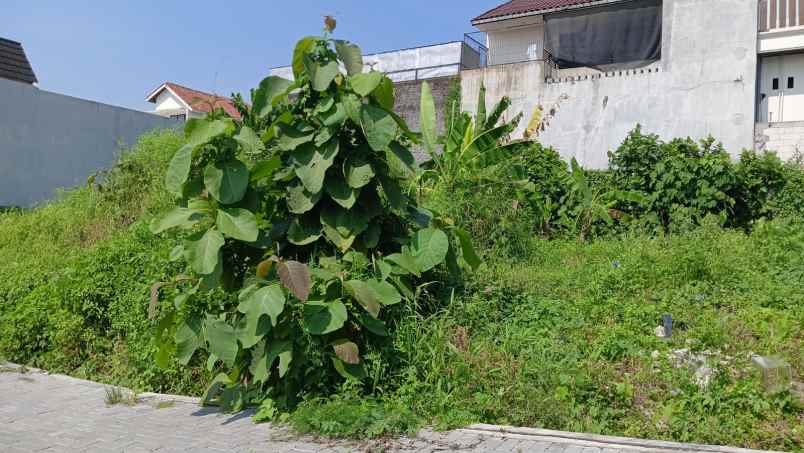 dijual tanah bukit sendangmulyo