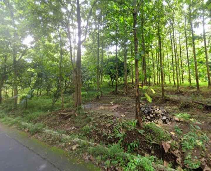 dijual tanah ciawi gebang kuningan