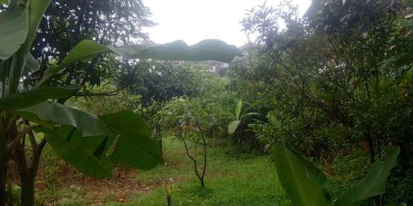 dijual tanah cilimus