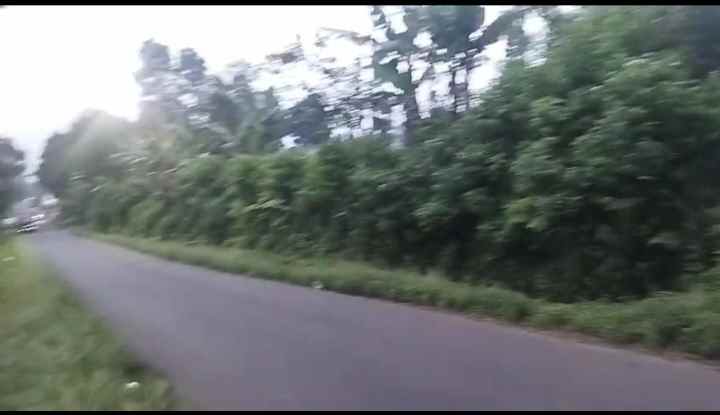 dijual tanah cipada