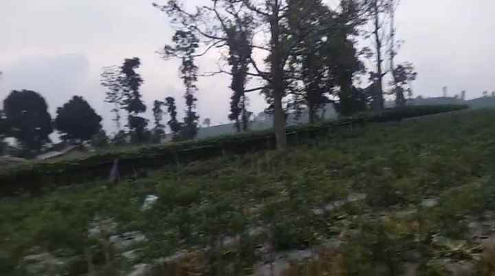 dijual tanah cipada
