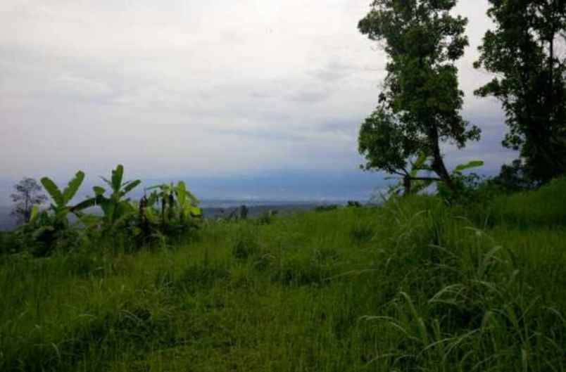 dijual tanah dayurejo