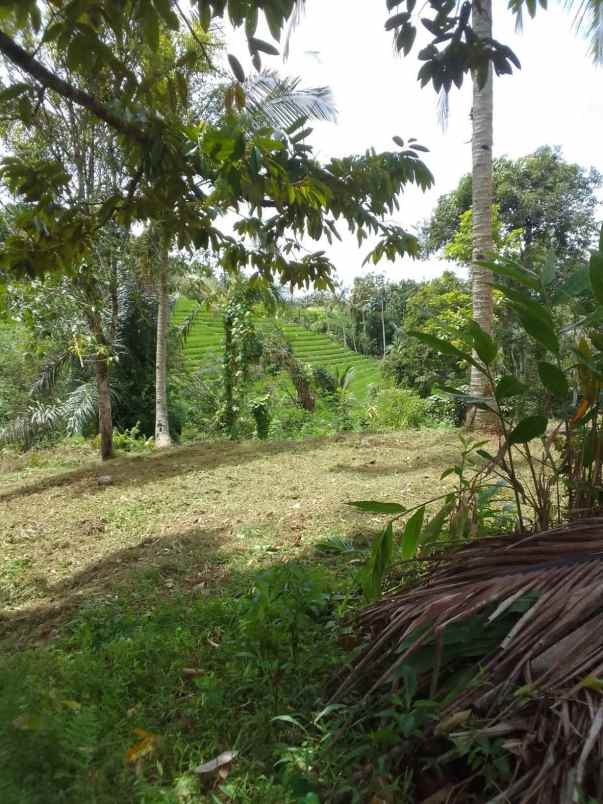 dijual tanah dengan view pegunungan dan sunrise