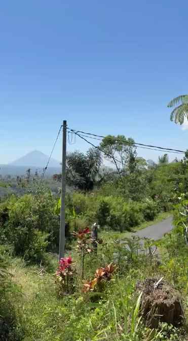 dijual tanah desa antapan kec baturiti