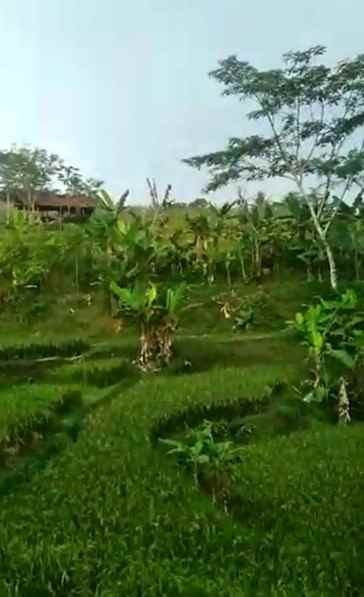 dijual tanah desa ciroyom kecamatan