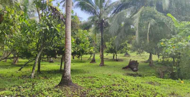 dijual tanah desa lalanglingah kec