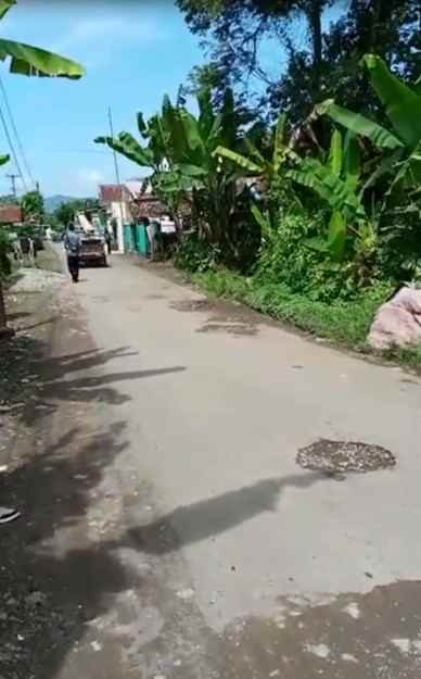 dijual tanah desa pangauban kecamatan