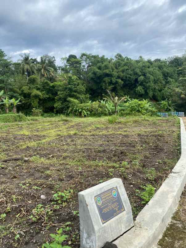 dijual tanah desa sukasari kec