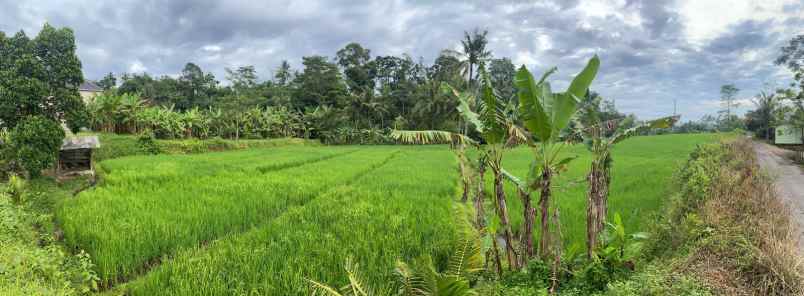 dijual tanah desa sukasari kec