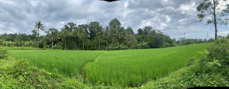 dijual tanah desa sukasari kec