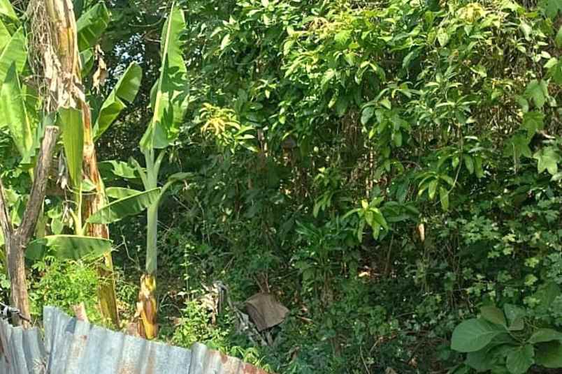 dijual tanah desa tebel kecamatan