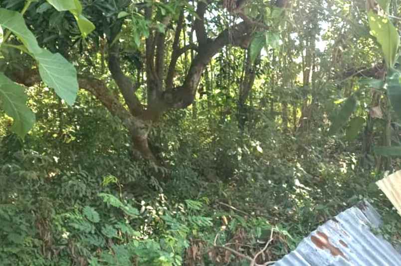 dijual tanah desa tebel kecamatan