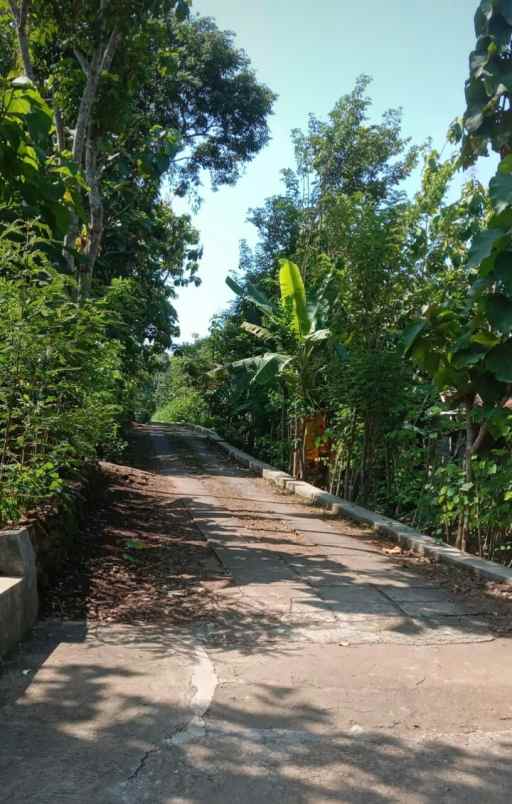 dijual tanah di banaran kec playen kab gunung kidul