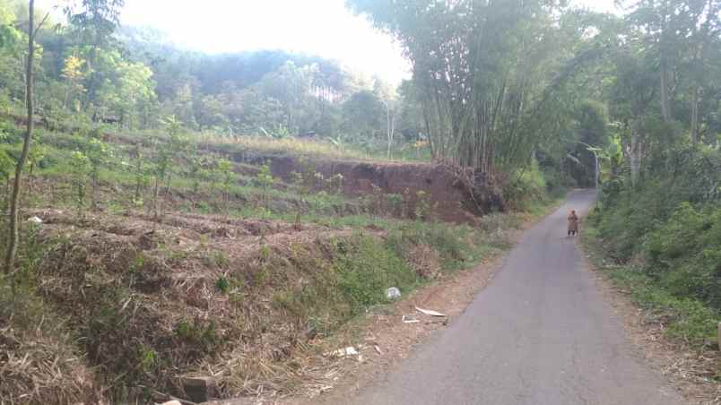 dijual tanah di pinggir jalan aspal