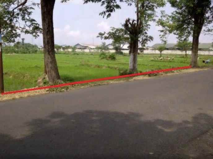 dijual tanah di raya kalirejo sukorejo pandaan