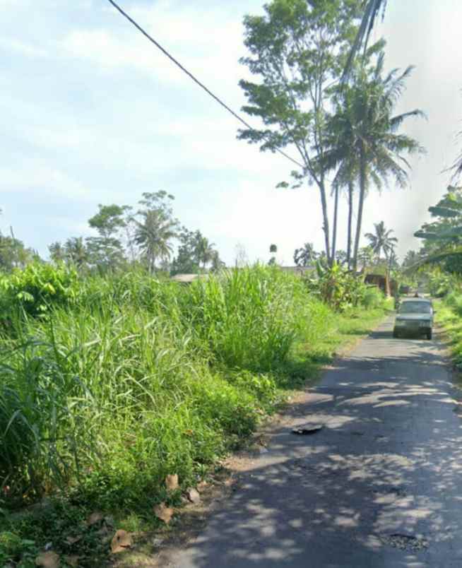 dijual tanah dijual tanah area sawah di